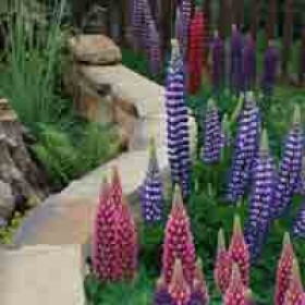 200x200-urban-rural-landscapes-case-study-stumpery10