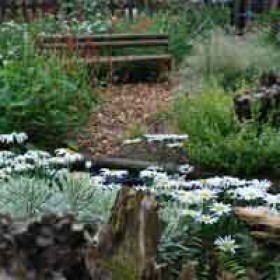 200x200-urban-rural-landscapes-case-study-stumpery12