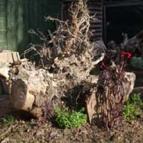 200x200-urban-rural-landscapes-case-study-stumpery2