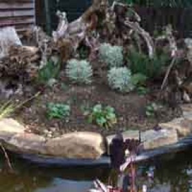 200x200-urban-rural-landscapes-case-study-stumpery3