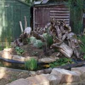 200x200-urban-rural-landscapes-case-study-stumpery4