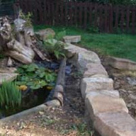 200x200-urban-rural-landscapes-case-study-stumpery5