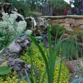 200x200-urban-rural-landscapes-case-study-stumpery9